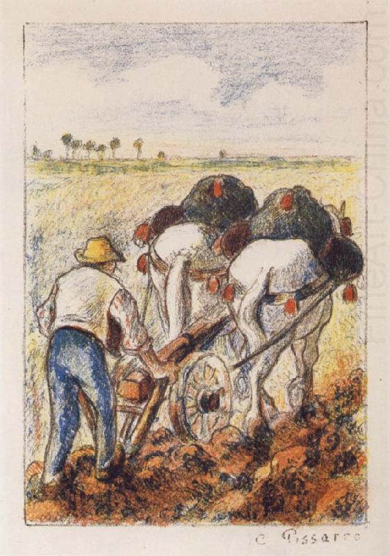 The ploughman, Camille Pissarro